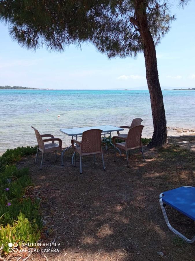 Studios Efi Beach Vourvourou Zewnętrze zdjęcie